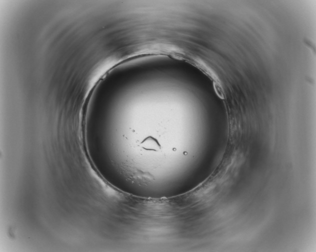X0000096461103200801241401