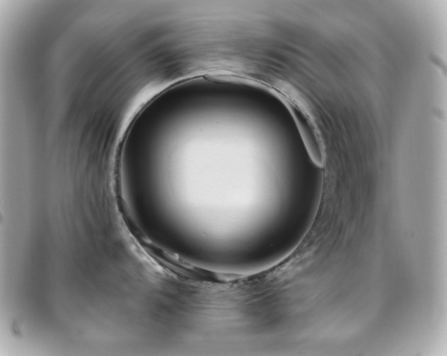 X0000096461104200801241401