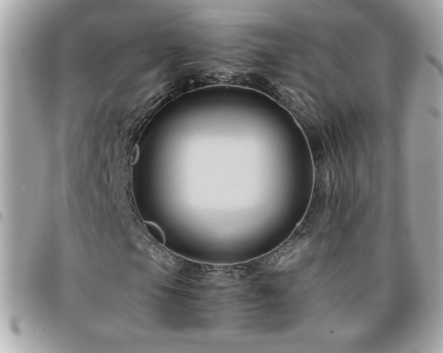 X0000096461105200801241400