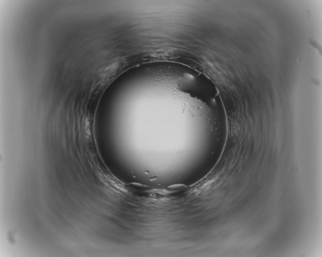 X0000096461106200801241400