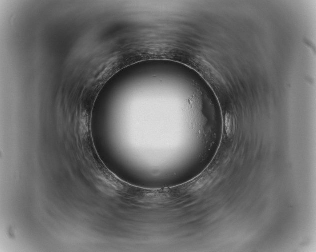 X0000096461107200801241400