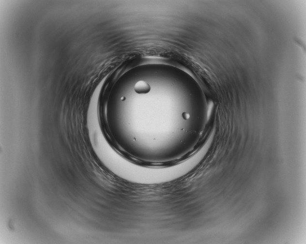 X0000096461108200801241400