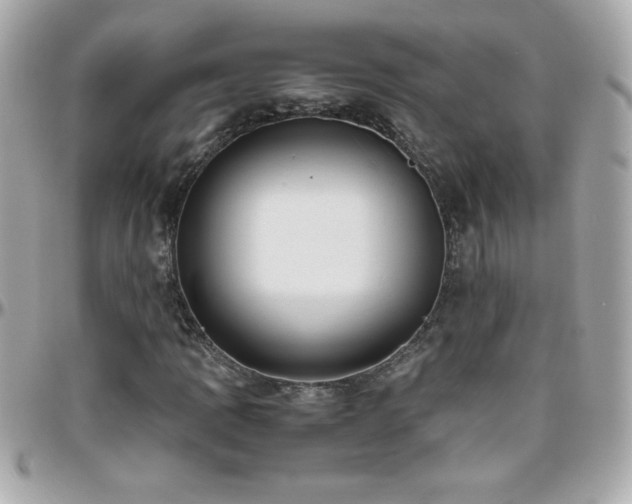 X0000096461109200801241400