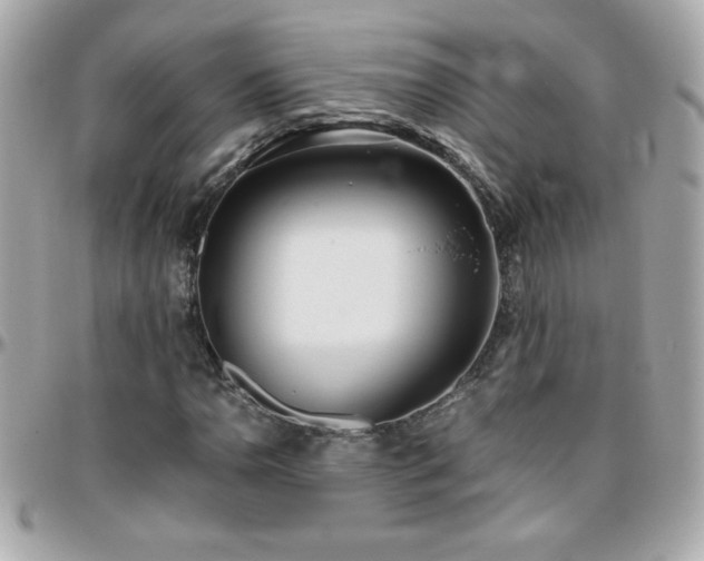 X0000096461110200801241400