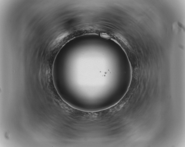 X0000096461111200801241400