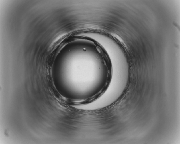 X0000096461112200801241400