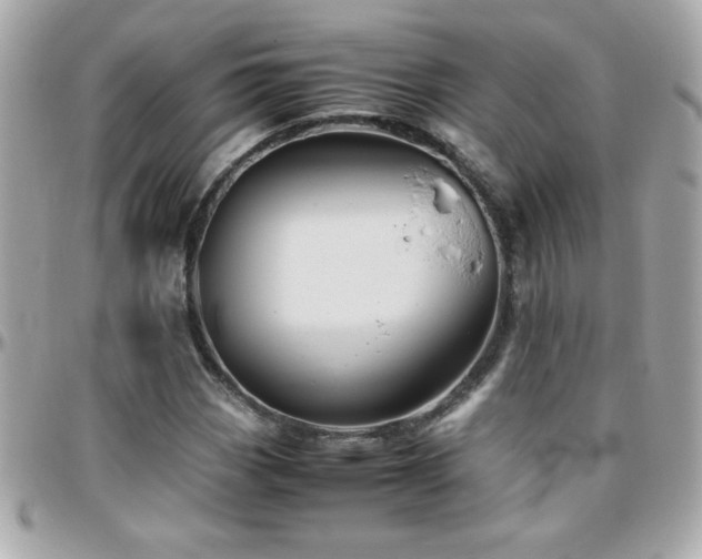 X0000096461113200801241400