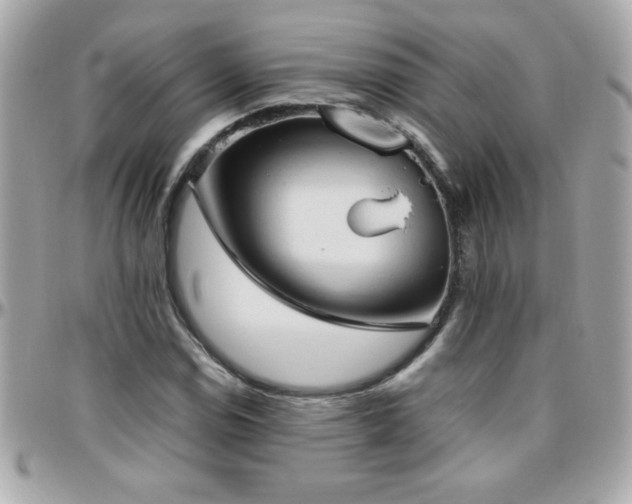 X0000096461114200801241400