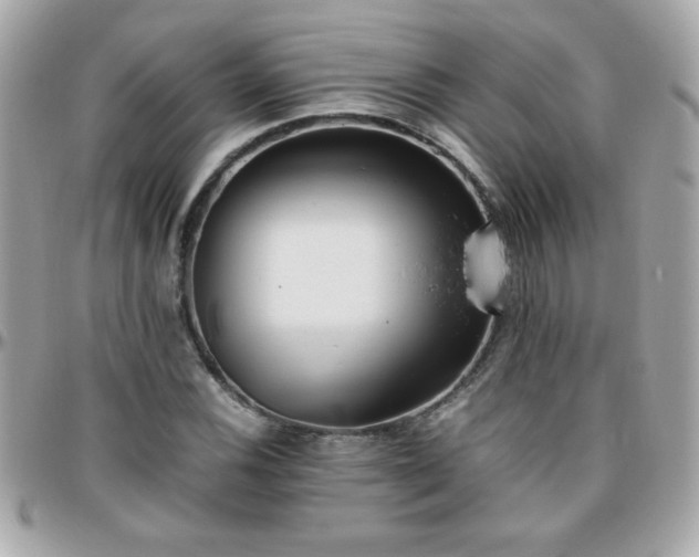 X0000096461116200801241400