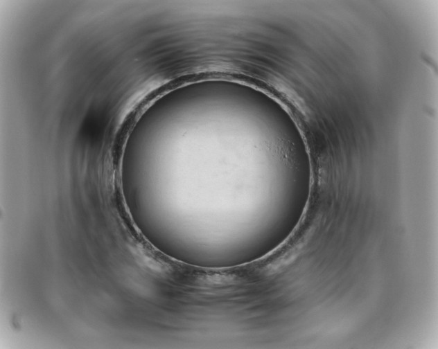 X0000096461117200801241400