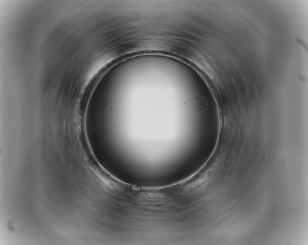 X0000096461119200801241400