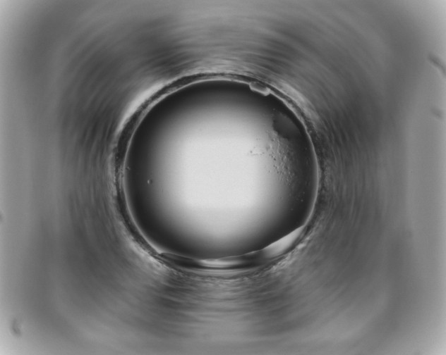 X0000096461120200801241400