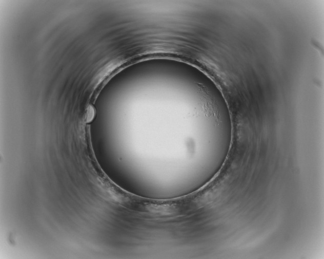 X0000096461121200801241400