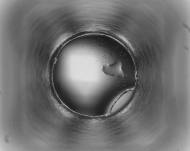 X0000096461122200801241400