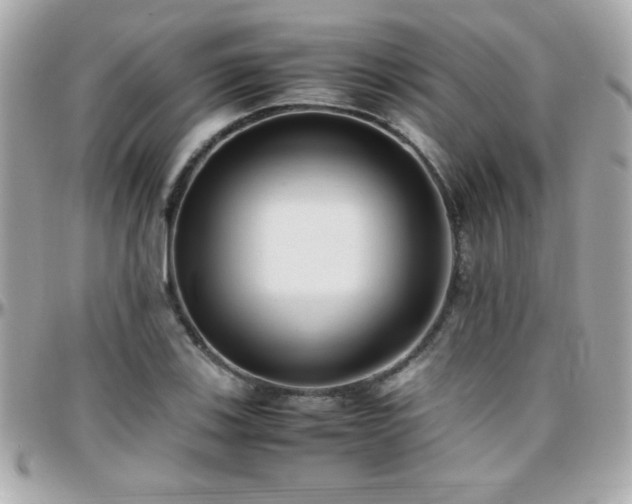 X0000096461123200801241400