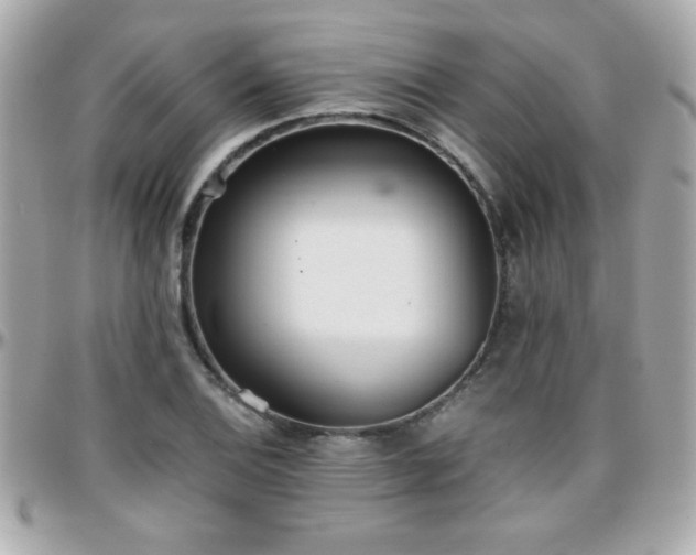 X0000096461124200801241400