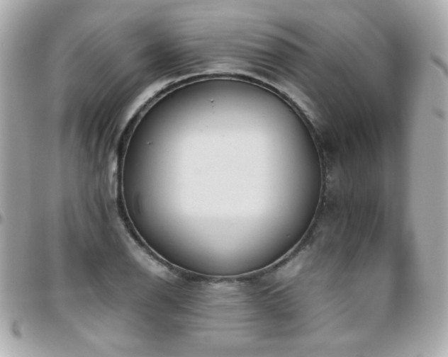 X0000096461126200801241400