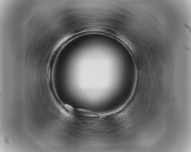 X0000096461127200801241400