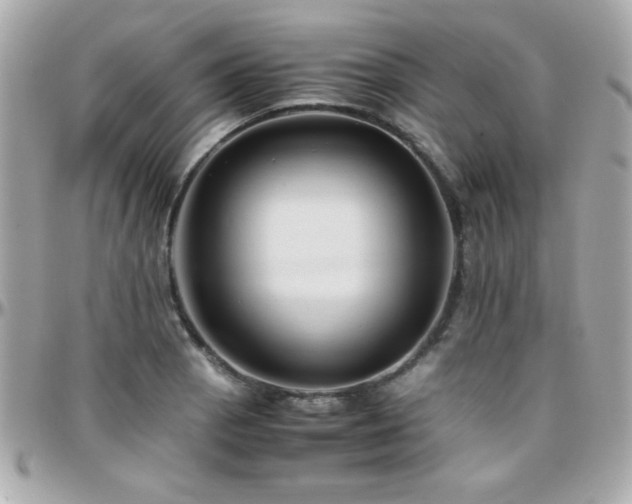 X0000096461129200801241401