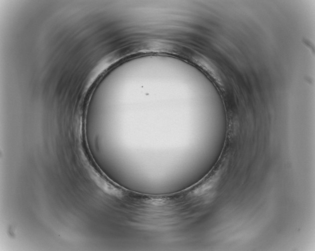 X0000096461130200801241401