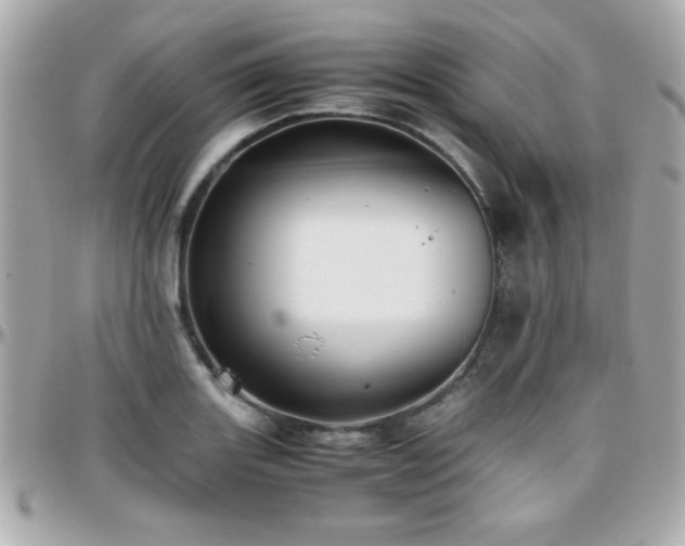 X0000096461131200801241401