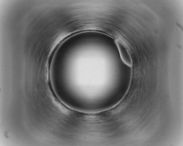 X0000096461132200801241401