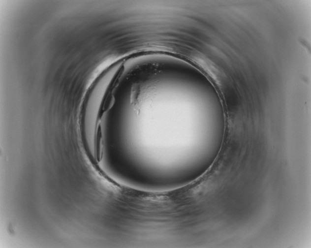 X0000096461133200801241401