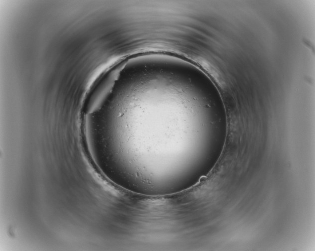 X0000096461134200801241401