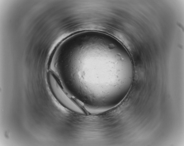 X0000096461136200801241401