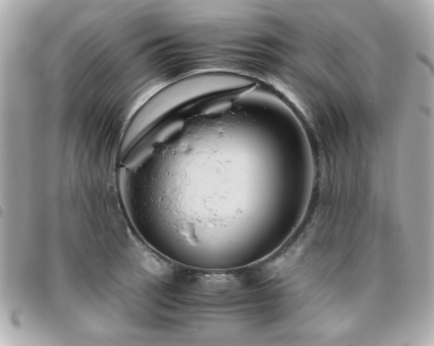 X0000096461137200801241401