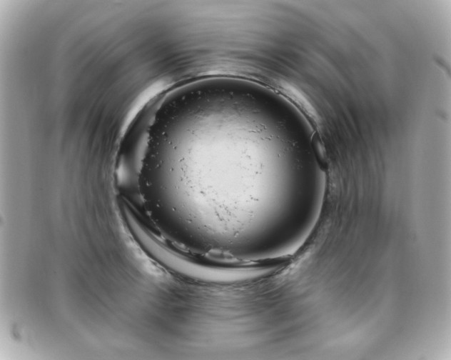 X0000096461138200801241401