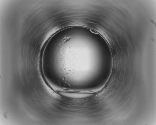X0000096461139200801241401