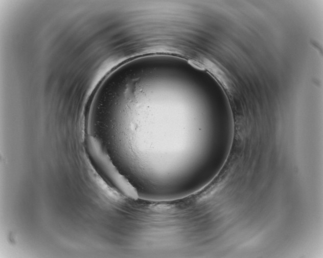 X0000096461140200801241401