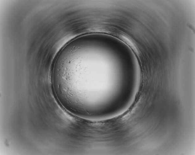 X0000096461141200801241401