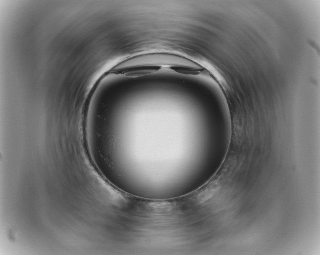 X0000096461142200801241401