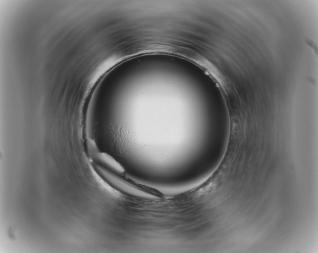 X0000096461143200801241401