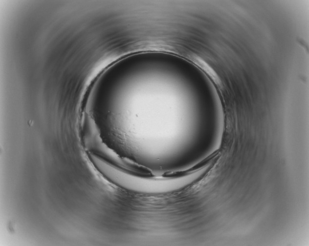 X0000096461144200801241401