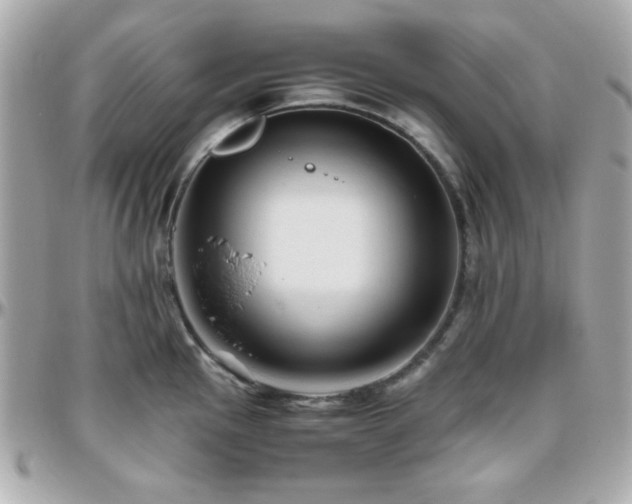 X0000096461145200801241401