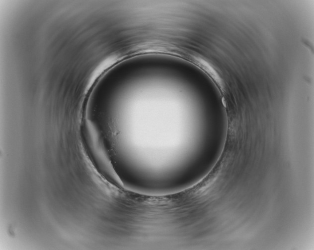 X0000096461146200801241401