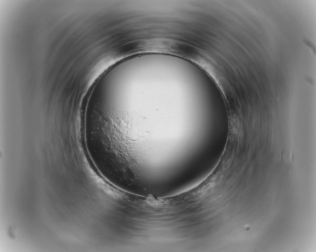 X0000096461147200801241401