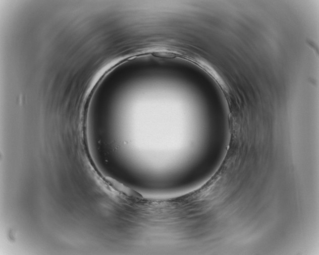 X0000096461148200801241401