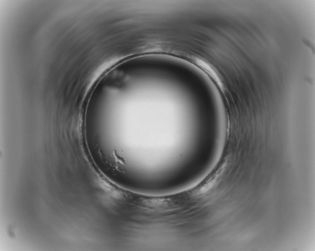 X0000096461149200801241401