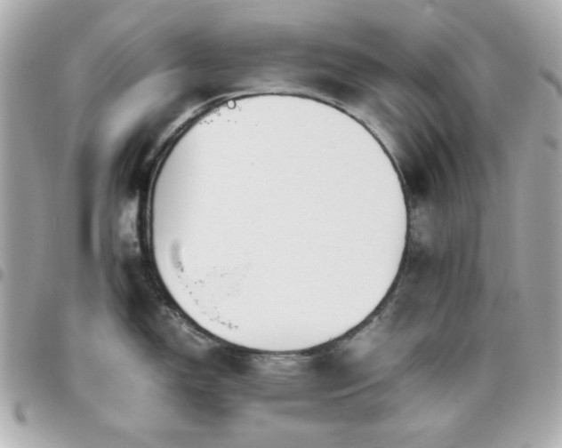 X0000096461150200801241401