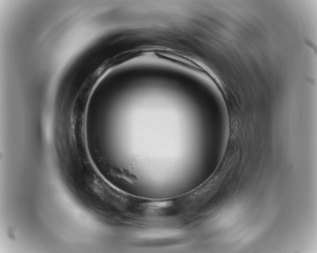 X0000096461151200801241401