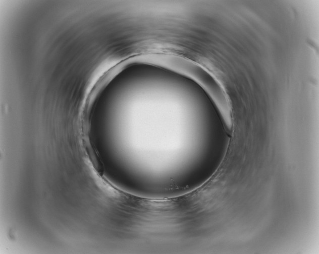 X0000096461152200801241401