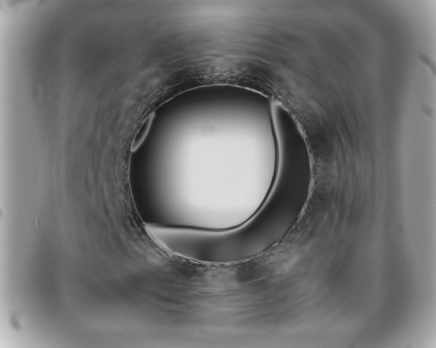 X0000096461153200801241400