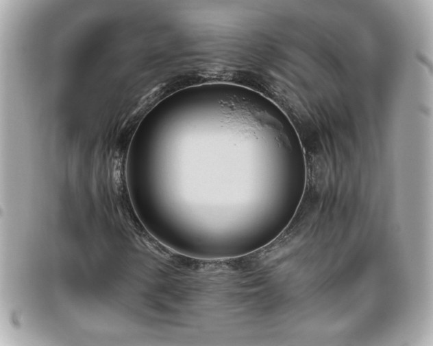X0000096461154200801241400