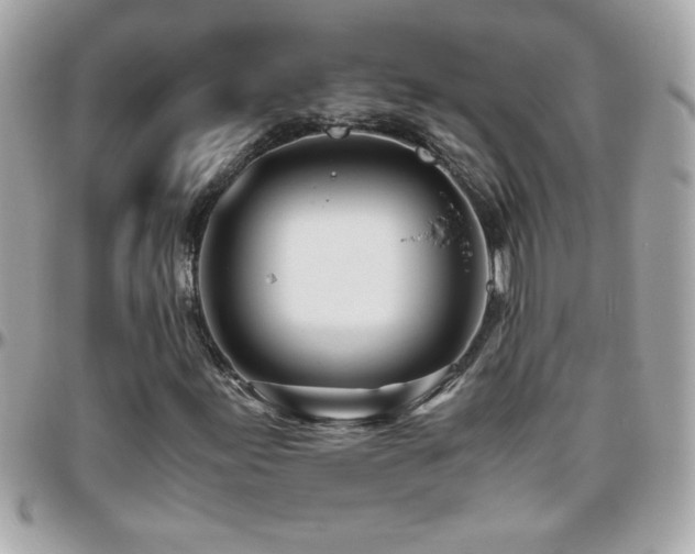 X0000096461155200801241400