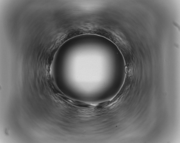 X0000096461156200801241400