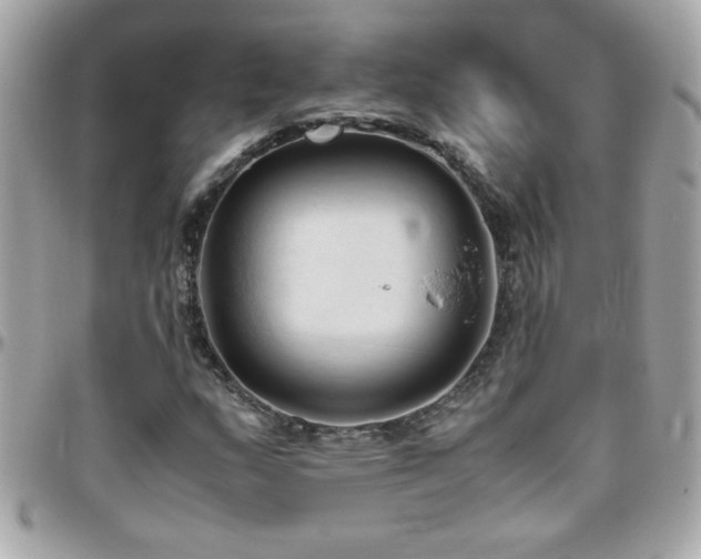 X0000096461159200801241400